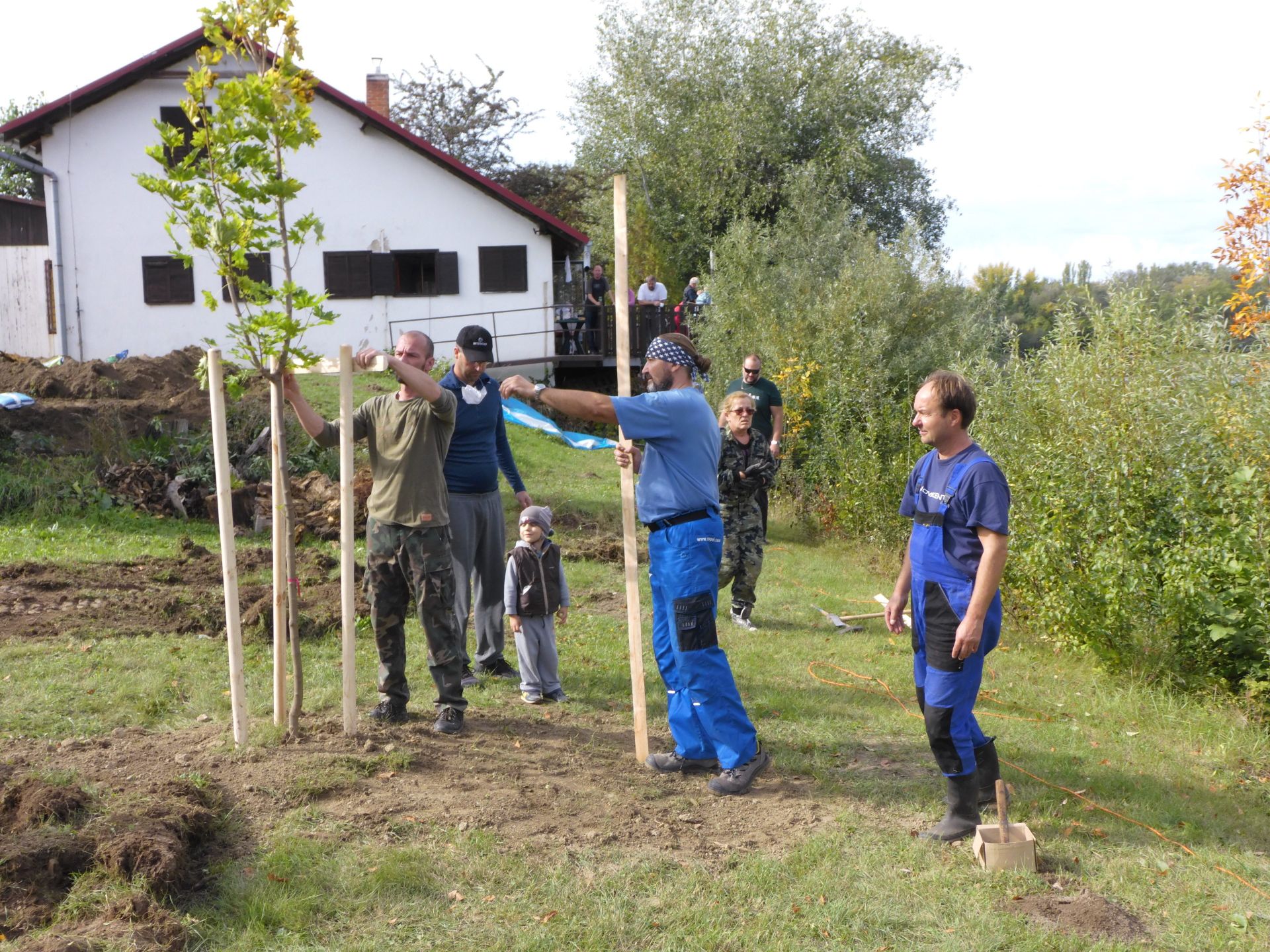 Projekt revitalizácia zelene 2. etapa